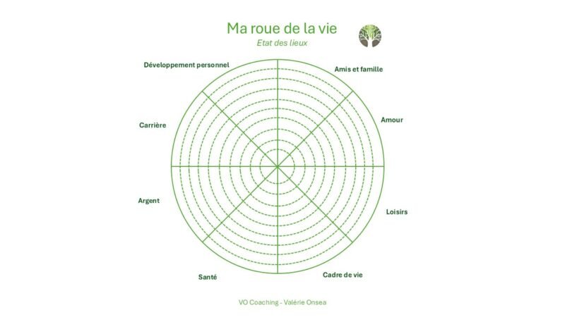 Le Roue Je fais le point sur ma situation avec la roue de la vie - Valérie Onsea